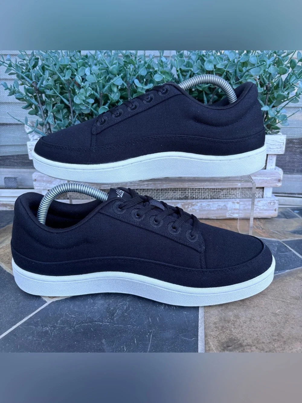 Allbirds Canvas Pacer Sneakers in Black